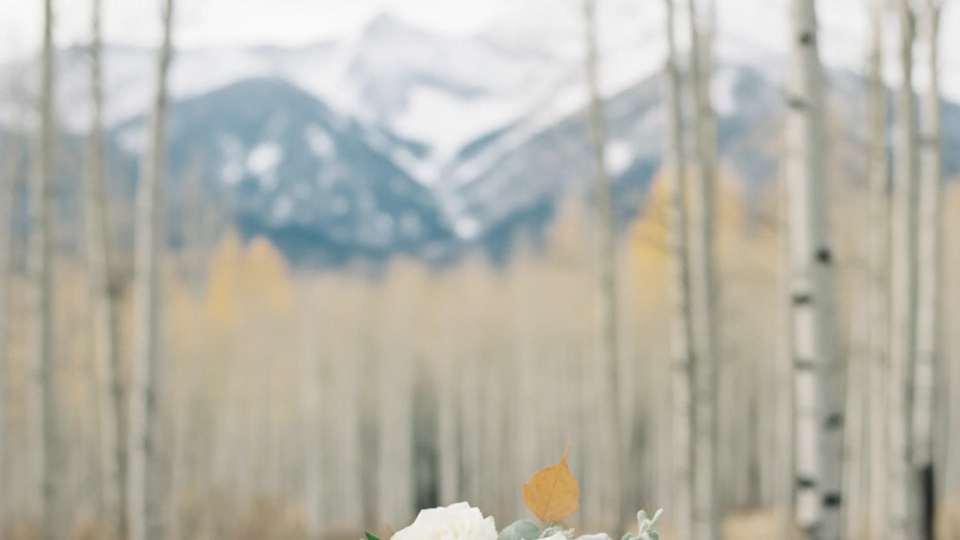 The Ultimate Guide to Planning an Aspen Destination Wedding (2025-2026)